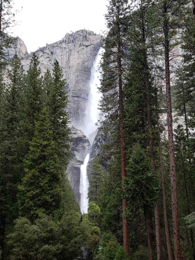 Yosemite Foothill Retreat Hotel Coarsegold Bagian luar foto